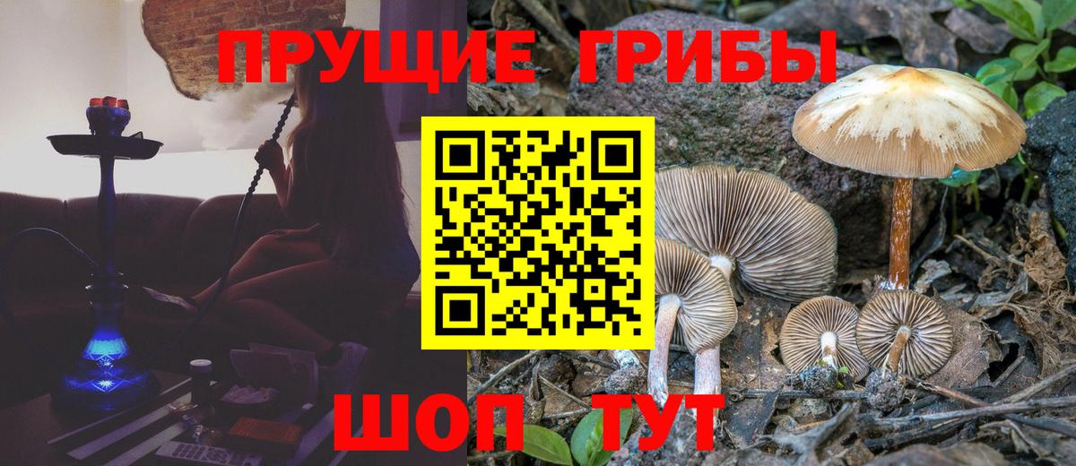 Псилоцибиновые грибы Cubensis Кушва