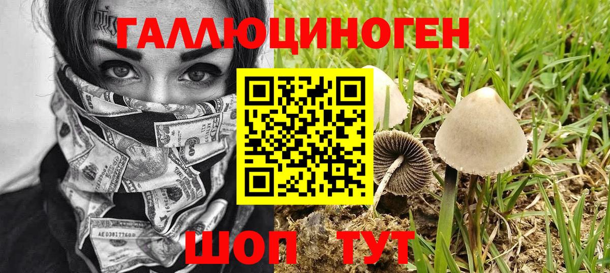 Псилоцибиновые грибы MAGIC MUSHROOMS  Вход с VPN  Псилоцибиновые грибы Cubensis  Кушва 